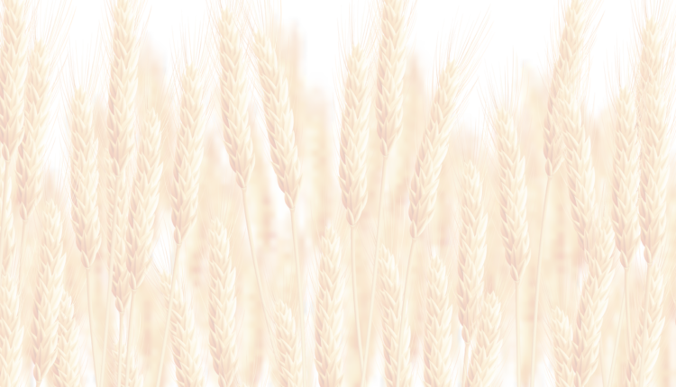 01_Çalışma-Yüzeyi-1