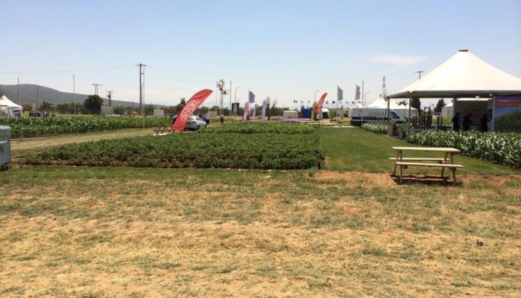 10306774_630908500329966_5475182008391499936_n