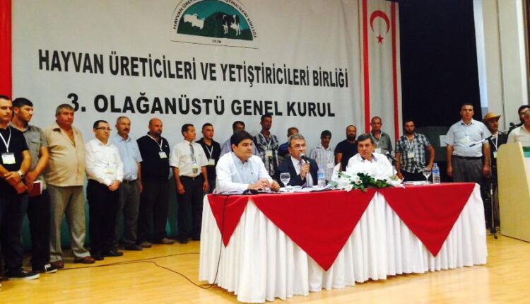 10603265_339309659561727_2994721327730617353_n